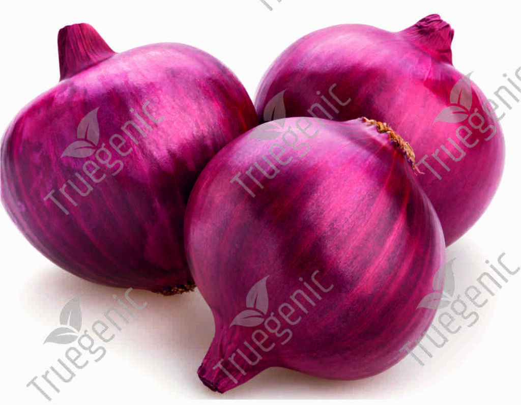 Onion